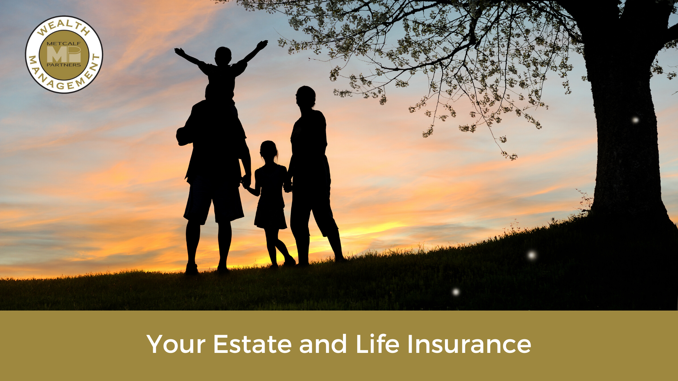 Featured image for “Your Estate and Life Insurance”